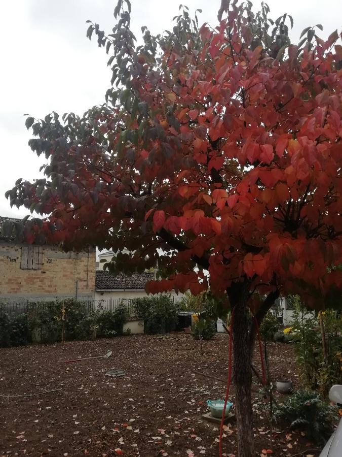 La Nuova Dimora B&B LʼAquila Buitenkant foto